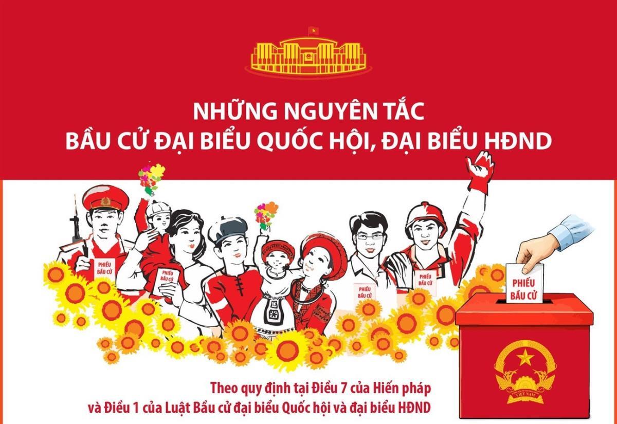 Infographic Những nguyên tắc bầu cử Đại biểu Quốc hội, đại biểu HĐND